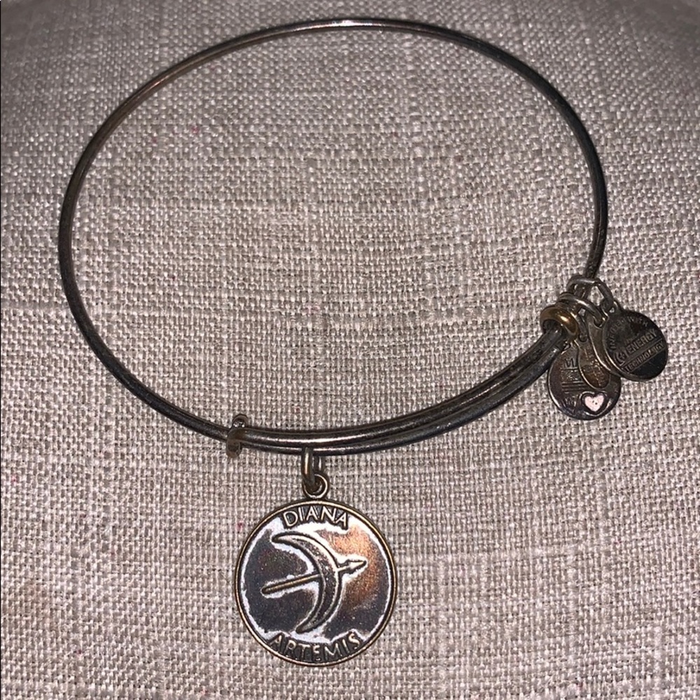Alex and Ani charm bracelet
